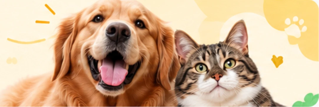 Golden retriever and tabby cat